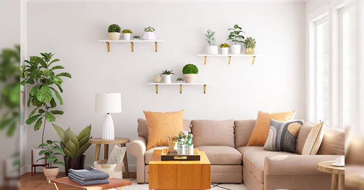 10 Ways To Instantly Improve Air Quality In Your Thrissur Apartment- Quick and Effective