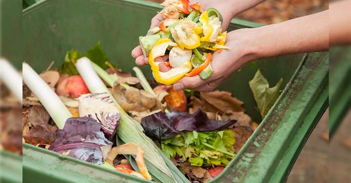 waste management ideas